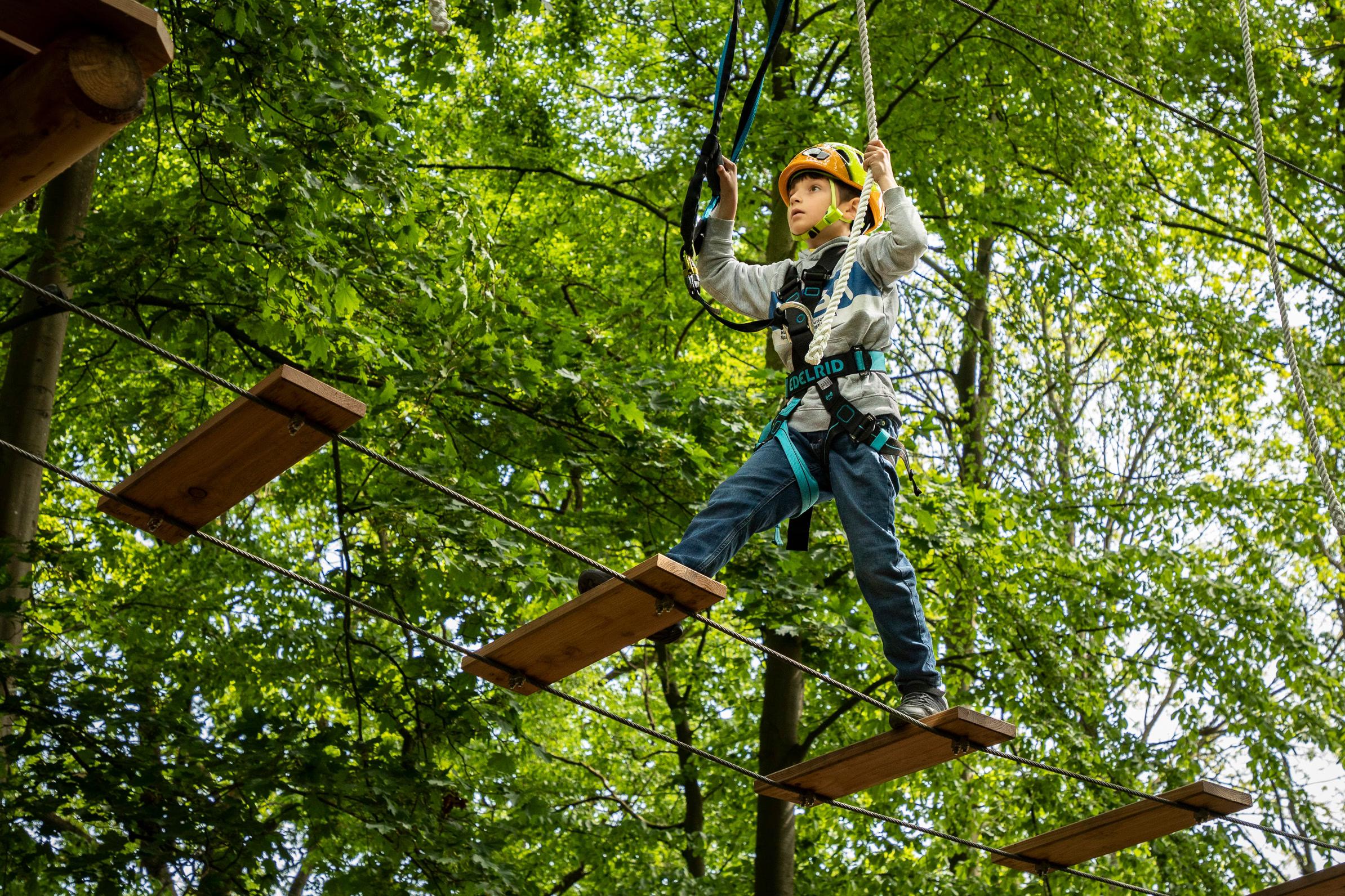 Klettern im Kletterwald Travemünde