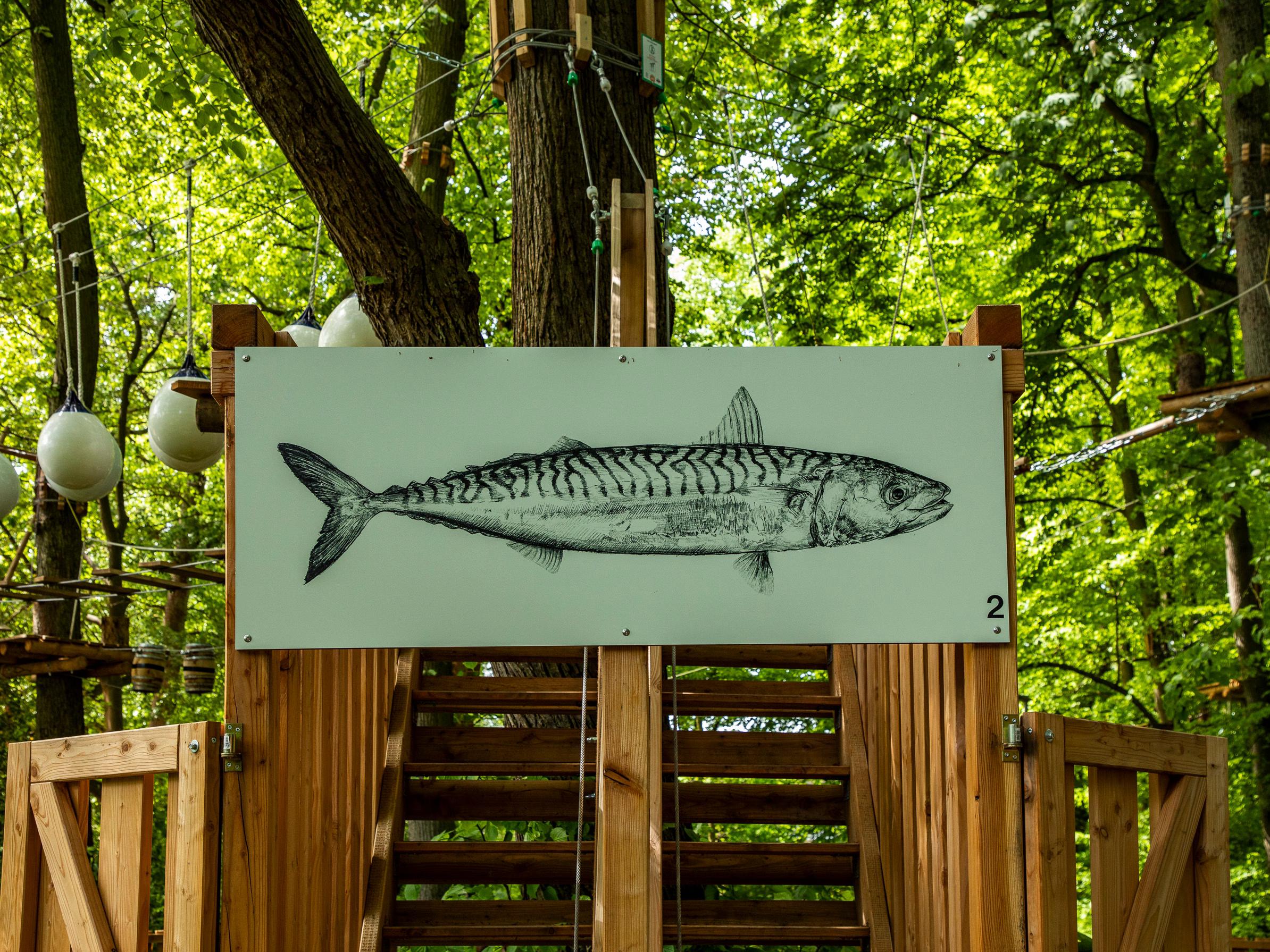 Klettern im Kletterwald Travemünde