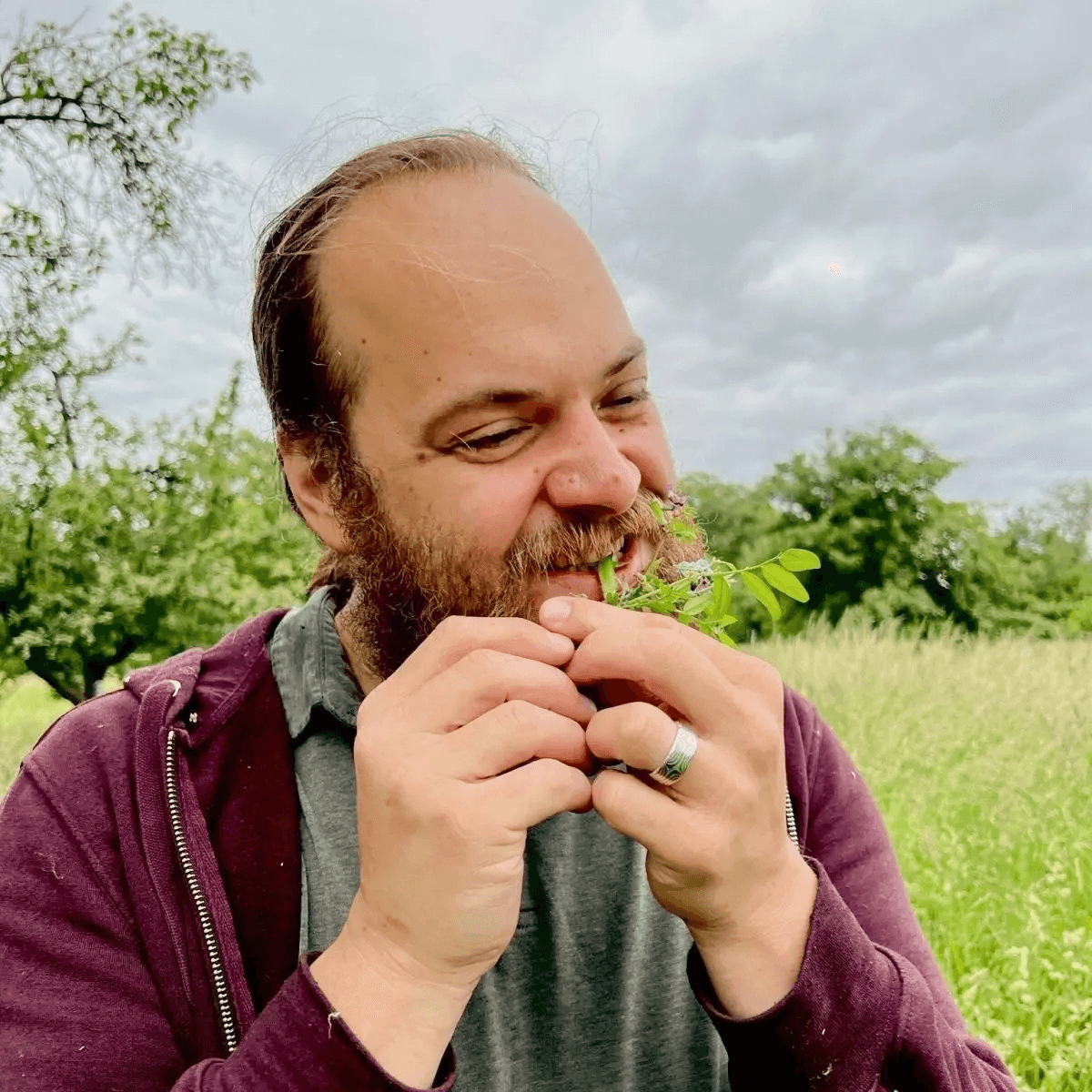Wildkräuterwanderung bei Kiel