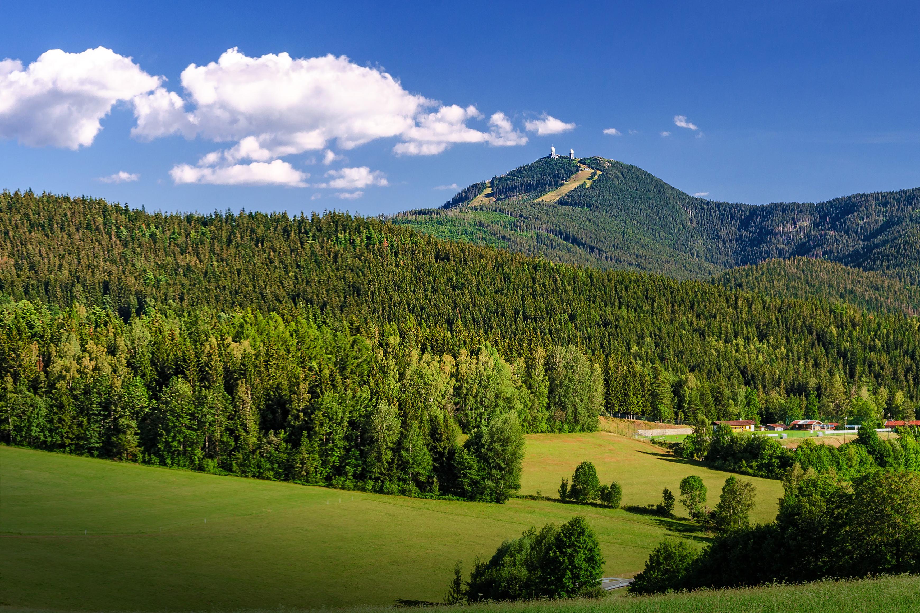 Bayerischer Wald
